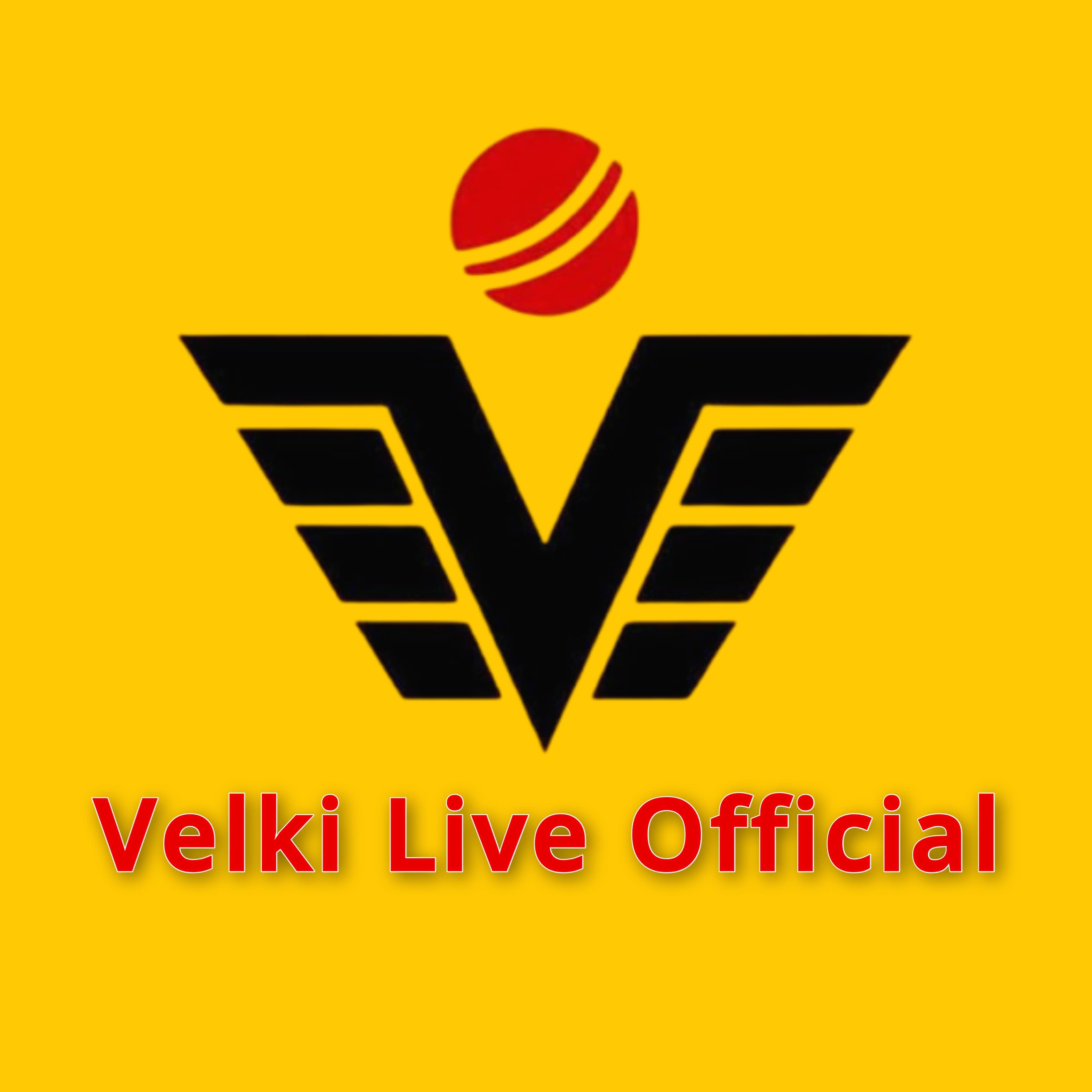 ভেলকি কাস্টমার সার্ভিস। (২৪ ঘণ্টা)